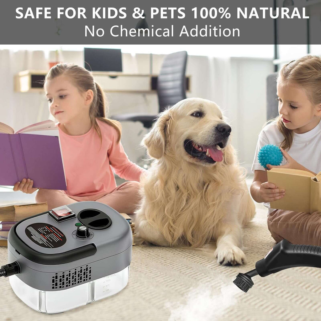 Handheld Steam Cleaner, Steamer For Cleaning, 2500W Pressurized Steam Cleaner With 1.2L Water Tank And 12 Attachments, Portable Steamer Cleaner For Home Car Kitchen Bathroom Furniture Tile Grout - The Oasnin